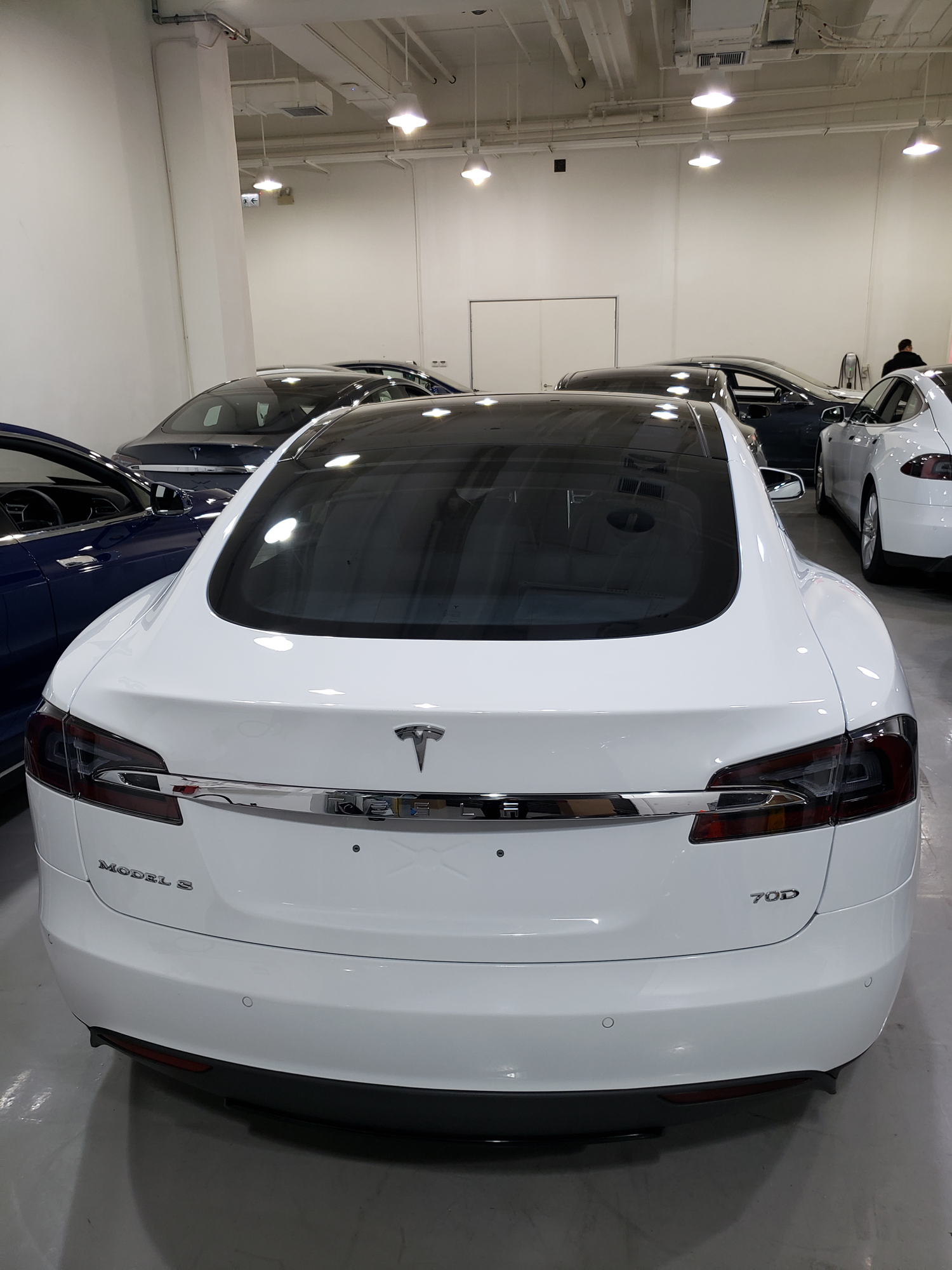 model是什么意思(model是什么意思车上的)